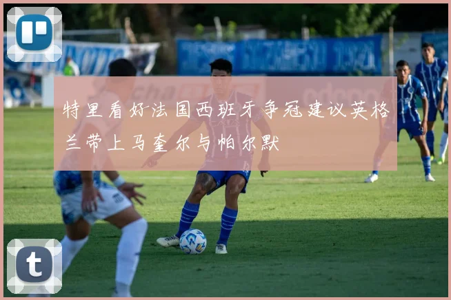 特里看好法国西班牙争冠建议英格兰带上马奎尔与帕尔默